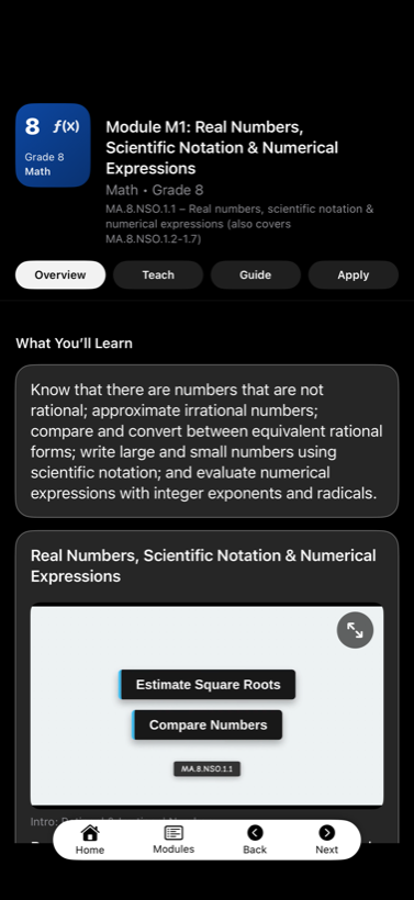 Grade 8 math overview module